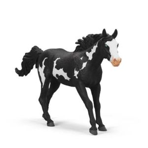 SHL14900 - Castrone di Paint Horse