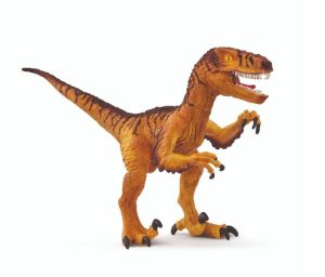 SHL15045 - Velociraptor