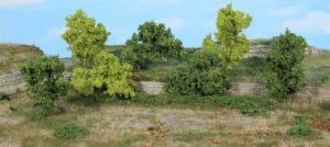 HEK1927 - 7 Cespugli e arbusti 6-8 cm