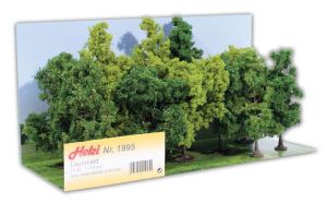 HEK1995 - 12 Alberi della foresta 11-13 cm