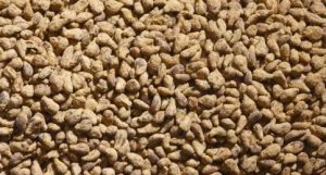JUW23092 - Sacchetto da 150 g di barbabietola