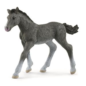 SHL13944 - Puledro Trakehnen