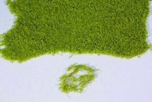 HEK15100 - Fogliame verde chiaro 28x14 cm