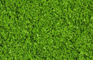 HEK15151 - Fogliame verde medio 200 ml