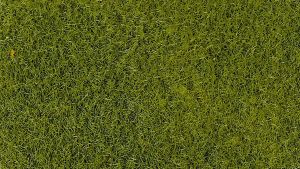 HEK3364 - Busta da 50 g di floccaggio verde chiaro da 2-3 mm