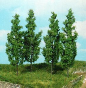 HEK1719 - 4 pioppi 14 cm