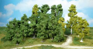 HEK1951 - 14 Alberi decidui 5-12 cm