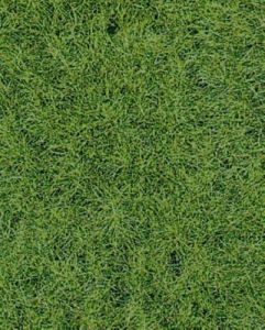 HEK1871 - Tappeto in erba selvatica del bosco 40 x 24 cm