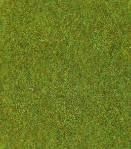 HEK30901 - Tappeto di prato verde chiaro - 75x100 cm