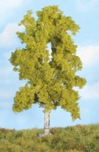 HEK19105 - Betulla 18 cm