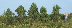 HEK19130 - 5 Alberi decidui 4 cm