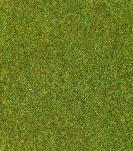 HEK30800 - Tappeto di prato verde chiaro - 40x24 cm