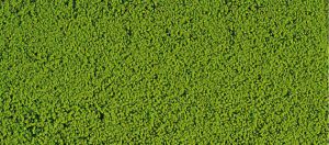 HEK1600 - Schiuma floccata verde chiaro 14x28 cm