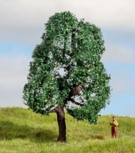 NOC20111 - Rovere 10 cm