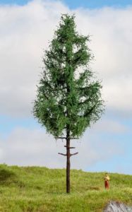 NOC20196 - Abete rosso a fusto alto, 21 cm