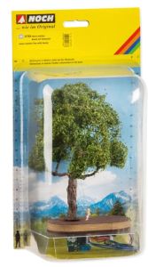 NOC21768 - Albero con un'oscillazione a micro-movimento