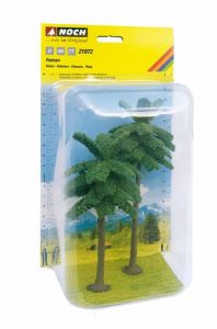 NOC21972 - 2 palme, 15 e 19 cm