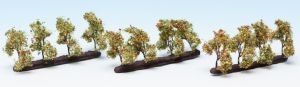 NOC21532 - 12 Piantare alberi con mele