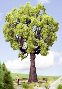 NOC21761 - Quercia 19 cm