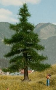 NOC21810 - Albero Nordmann 12 cm