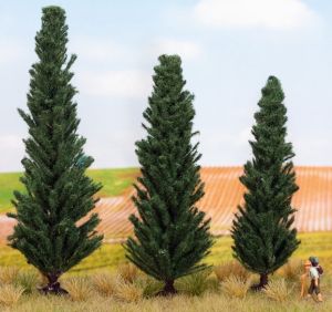 NOC21998 - 3 Cipresso 10; 11 e 13 cm