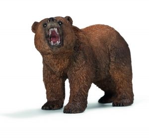 SHL14685 - Orso grizzly