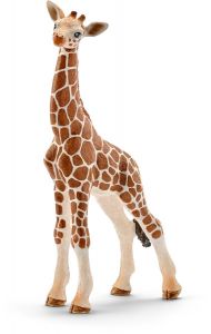 SHL14751 - piccola giraffa