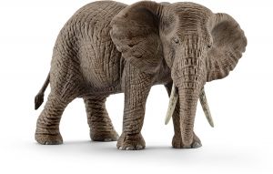 SHL14761 - femmina di elefante africano