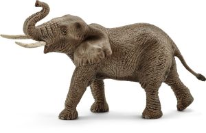 SHL14762 - Maschio di elefante africano