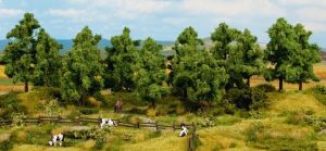 NOC24601 - 16 alberi frondosi da 10 a 14 cm