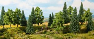 NOC24621 - 16 alberi forestali da 10 a 14 cm