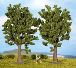 NOC25170 - 2 faggi 13 cm