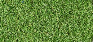 HEK3301 - Materiale floccato verde chiaro - 40 g