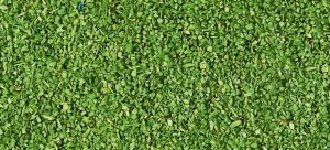 HEK3312 - Materiale per floccaggio verde chiaro - 85 g