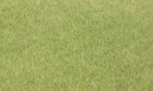 HEK33541 - Floccaggio d'erba 75 g. 5-6 mm