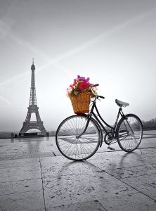 CLE35014 - Puzzle da 500 pezzi Passeggiata romantica a Parigi