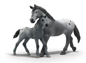 SHL42776 - Addestramento al torneo di Lisa