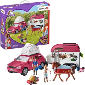 SHL42535 - Fantastica gita a cavallo in auto più rimorchio