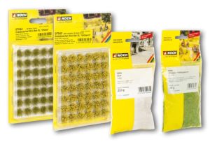 NOC60774 - Set iniziale di vegetazione - Riva del fiume