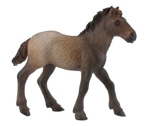 BUL62734 - puledro della Camargue