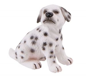 BUL65426 - Cucciolo dalmata