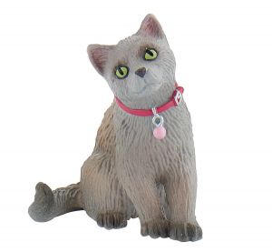 BUL66372 - Gatto russo