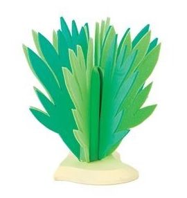 BUL81088 - Arbusto - 14 cm