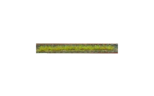 HEK1810 - Confezione da 10 strisce di erba primaverile 10 cm