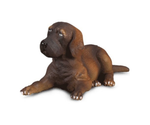 COLL88065 - Cucciolo di alano sdraiato