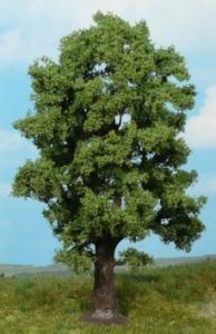 HEK1740 - Quercia 18 cm