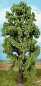 HEK1743 - Acero sicomoro 35 cm
