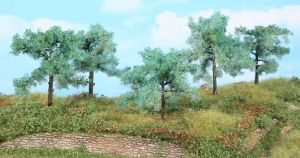 HEK1773 - 5 Alberi di olivo 8-10 cm
