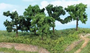 HEK1935 - 5 Alberi da frutto 8-10 cm