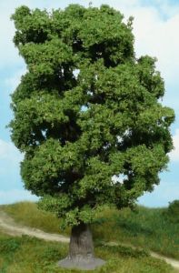 HEK1940 - Quercia 18 cm